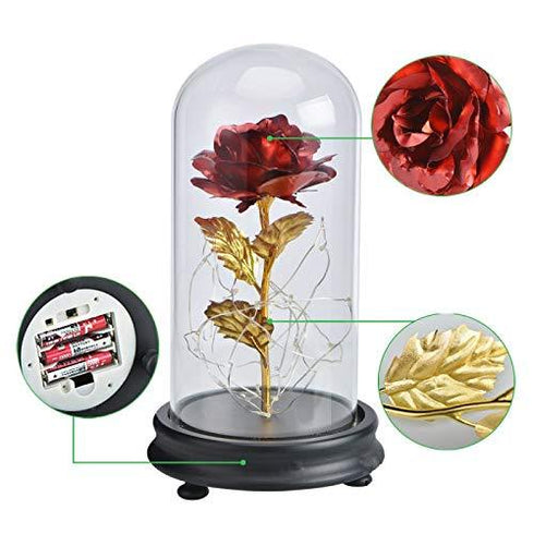 24K Gold Plating Rose  in a Glass  with LED Light